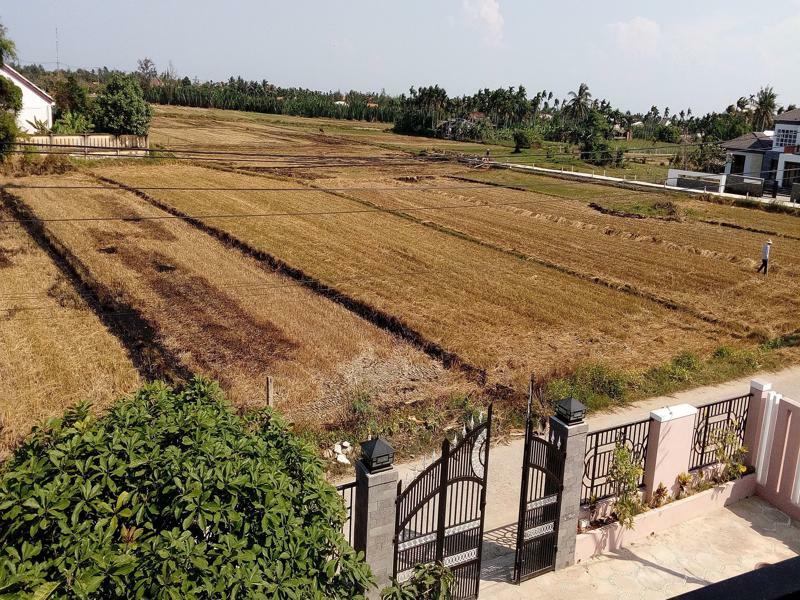 The Field Homestay Hoi An Dış mekan fotoğraf